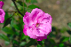 image0246