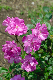 image0248