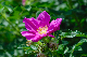 image0252