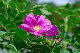 image0253