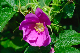 image0254