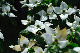 image0255