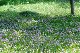 image0256