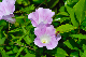 image0257