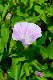 image0258