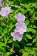 image0259