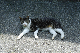 image0260