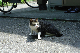 image0262