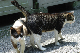 image0264