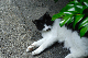 image0265