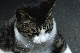 image0269