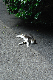 image0270