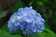 image0272