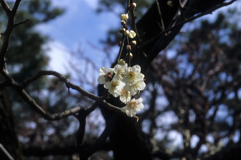 image0060