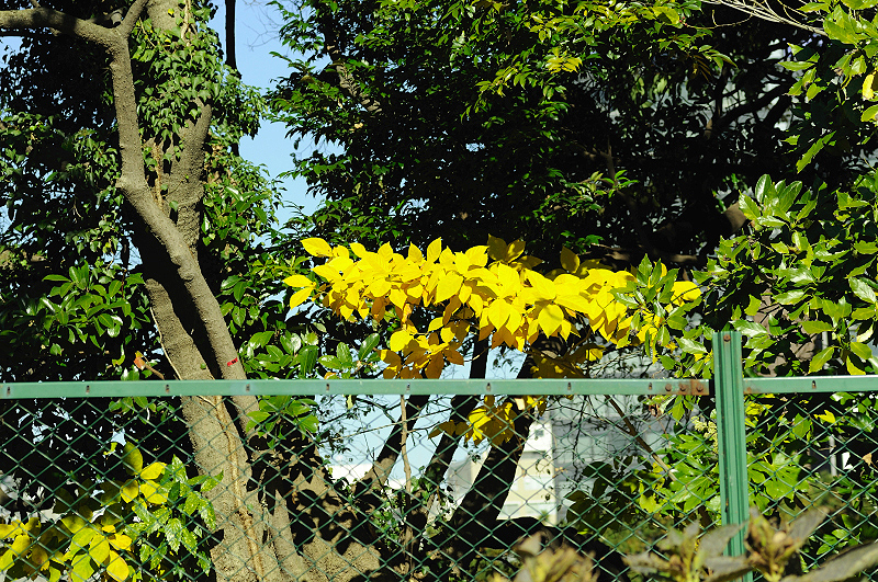 image0107