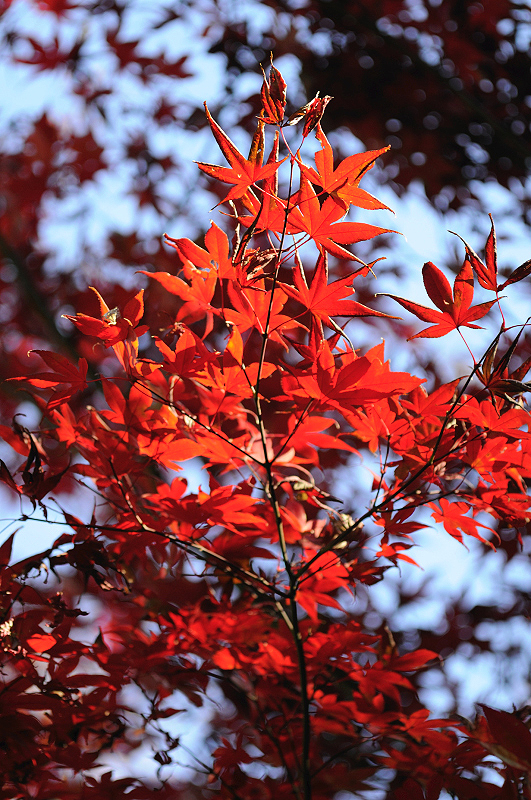 image0158