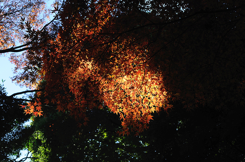 image0164