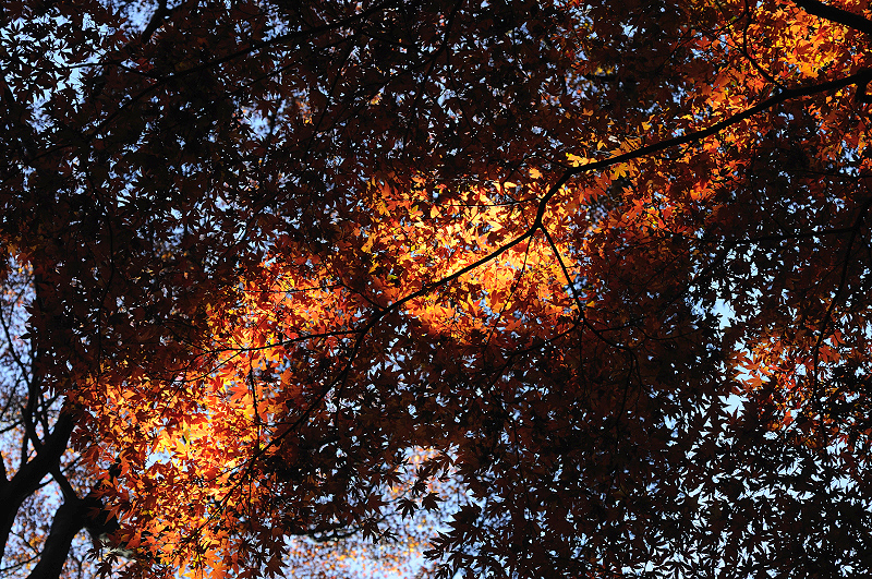 image0165