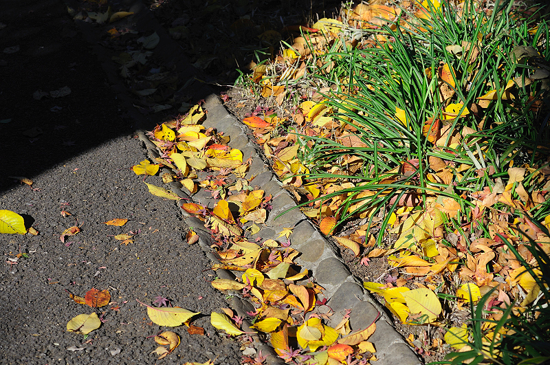 image0170