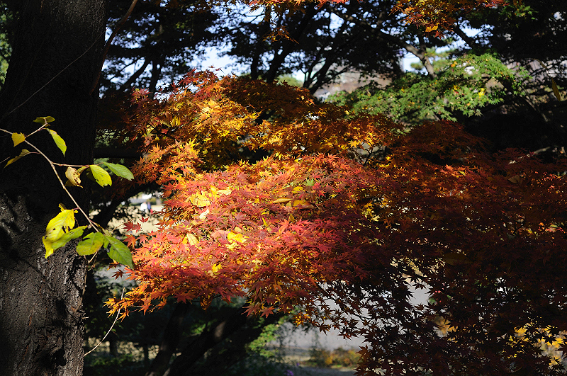 image0171