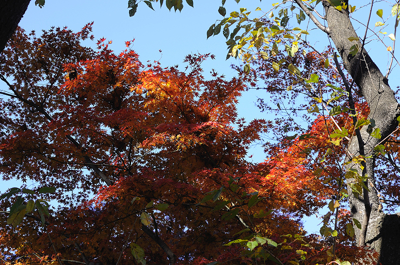 image0173