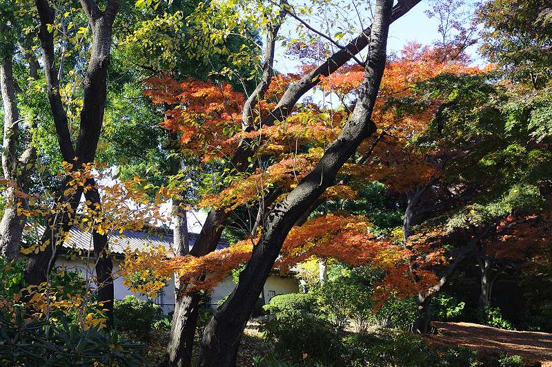 image0174