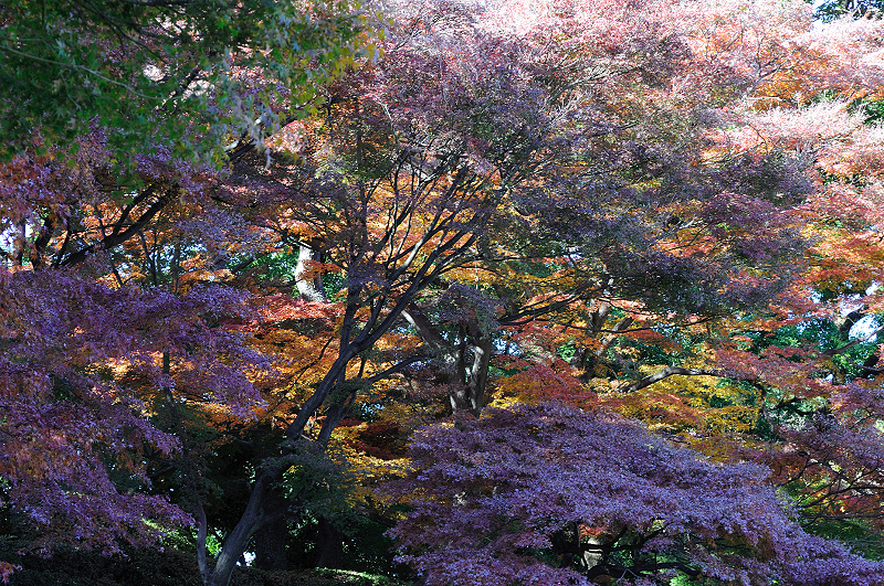 image0182