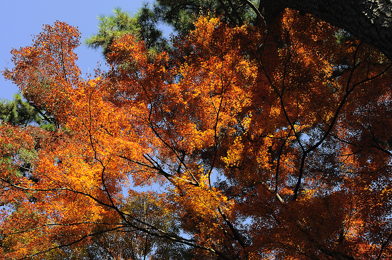 image0197