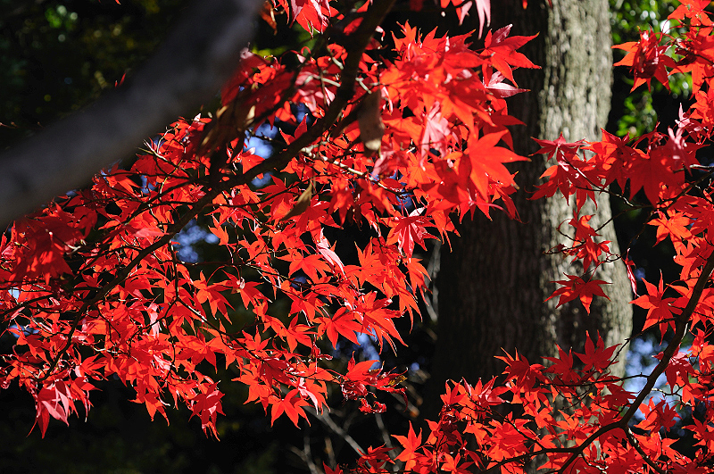 image0211