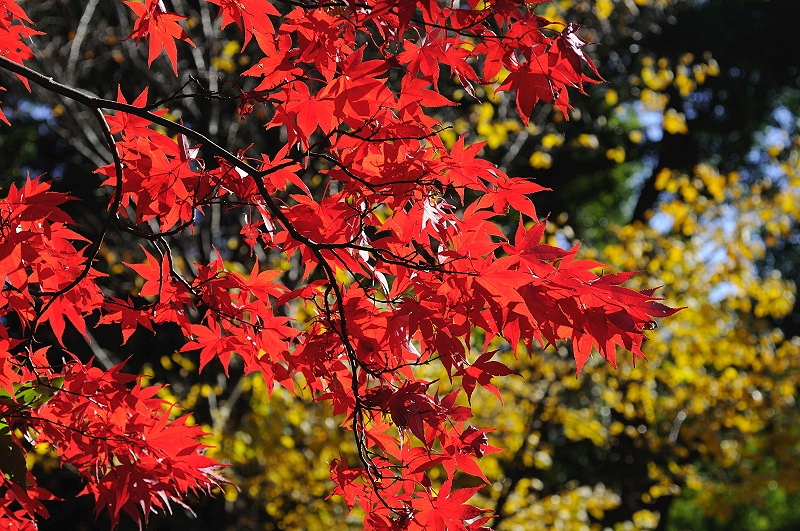 image0213