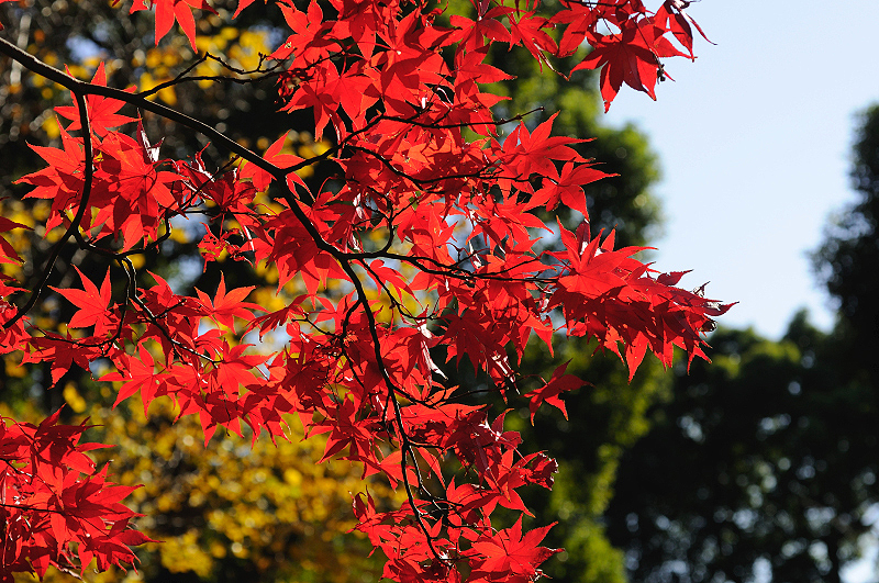 image0222