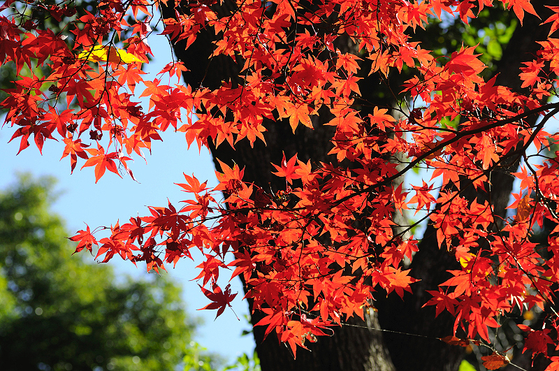 image0236