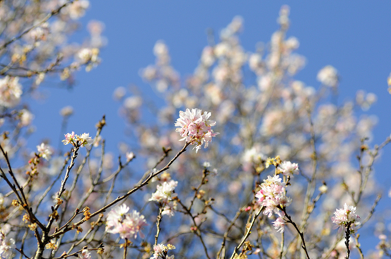 image0238