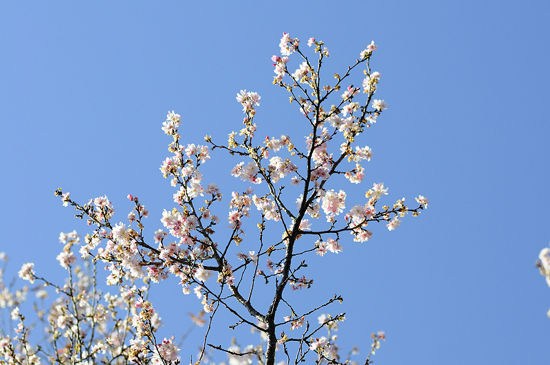 image0240