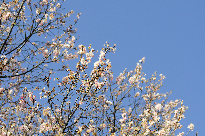 image0241