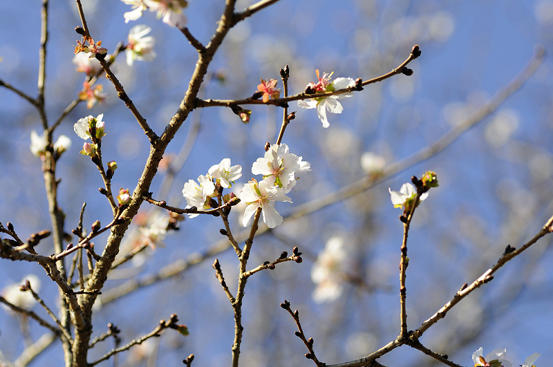 image0242