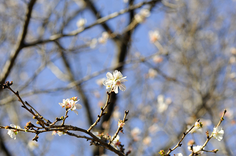 image0243