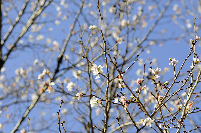 image0244