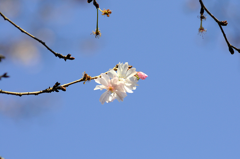 image0247