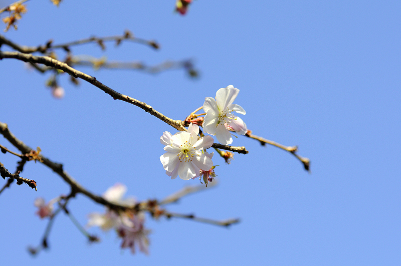 image0248