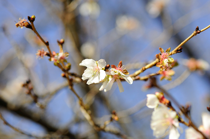 image0250