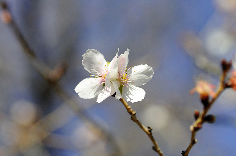 image0253