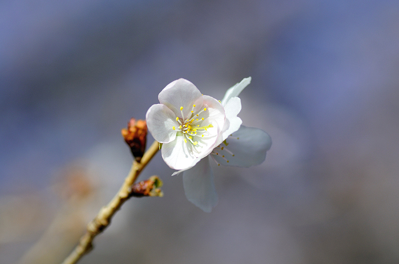 image0254