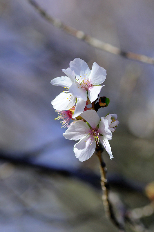 image0255
