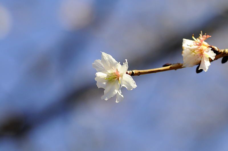 image0256