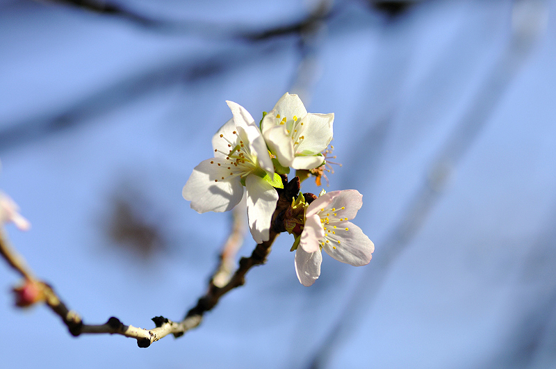 image0257