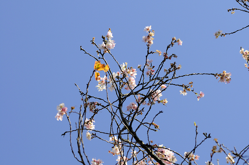image0258
