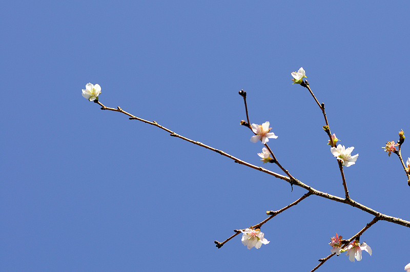 image0261