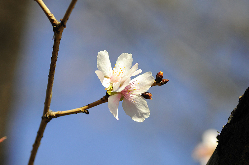 image0262