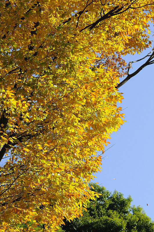 image0267